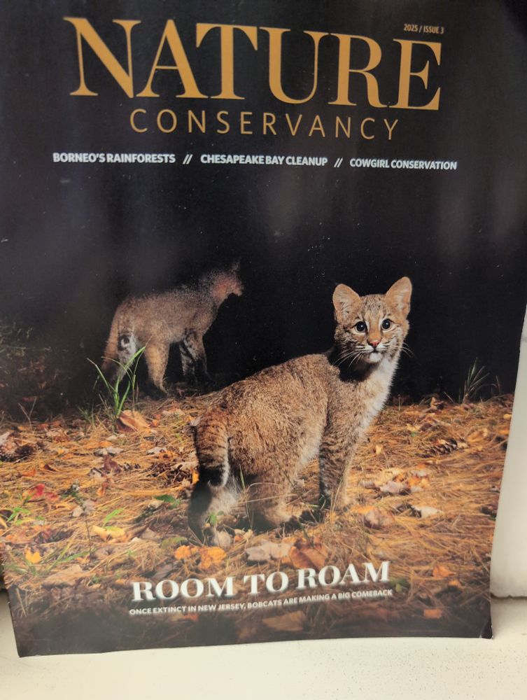 The front page of Nature Conservancy magazine, depicting bobcats and the caption Room to Roam