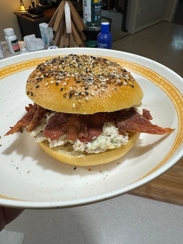 A chicken salad sandwich in an everything bagel, with bacon because I do believe it elevates the chicken salad. *nodnod*