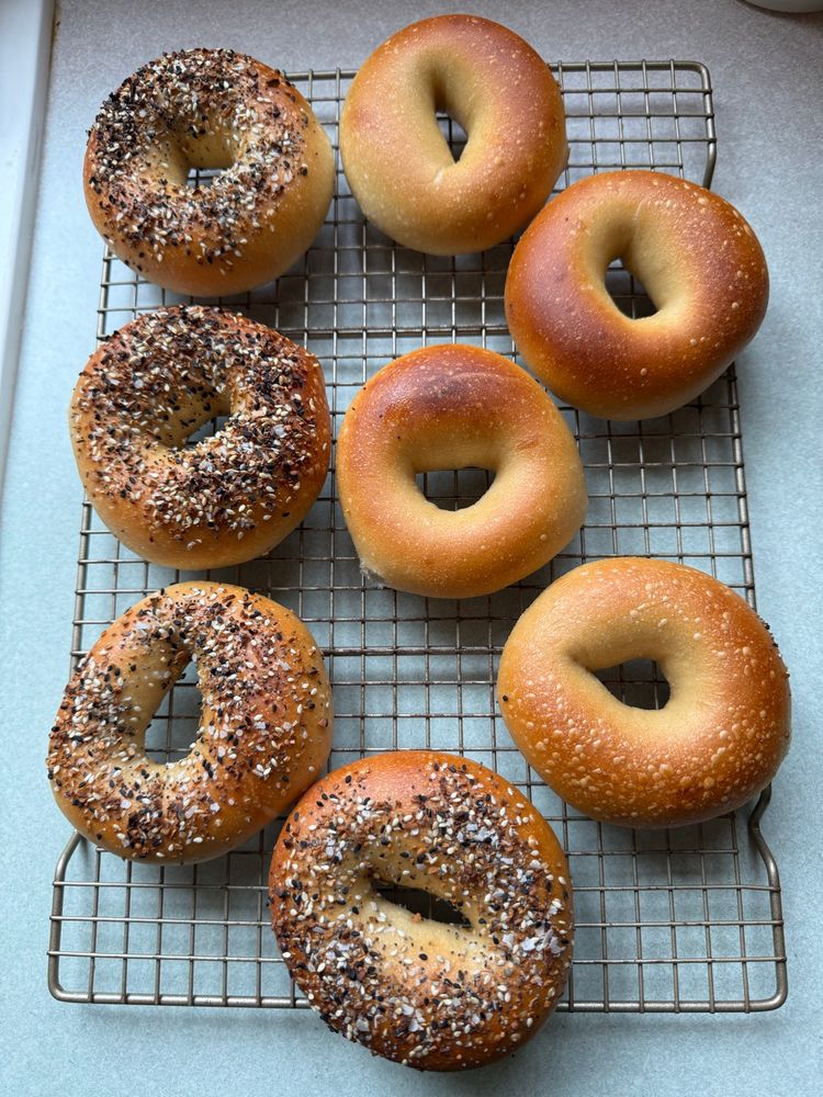 Another fresh batch of bagels. Four everything bagels on the left, four plain on the right. I think this has to be the 100th bagel by now? Maybe the next batch is my 100th bagel instead.