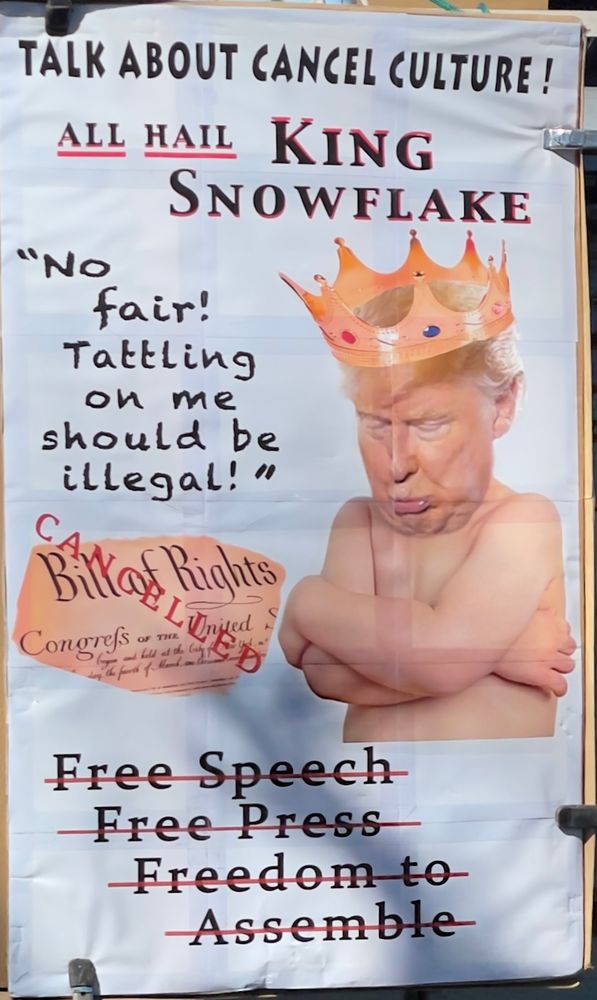 No Kings protest sign, saying
Talk about cancel culture all hail king snowflake with an image of babyTrump, pouting