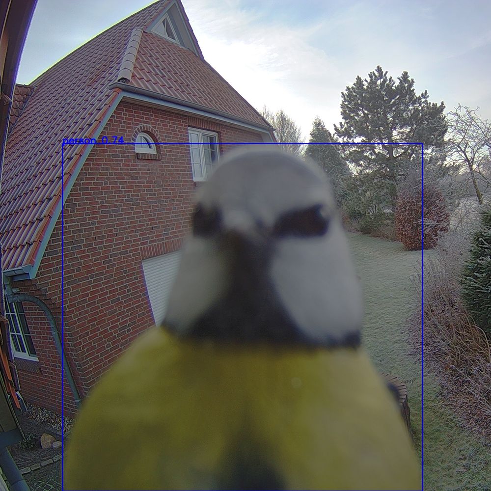 Ein Vogel direkt vor einer Überwachungskamera.