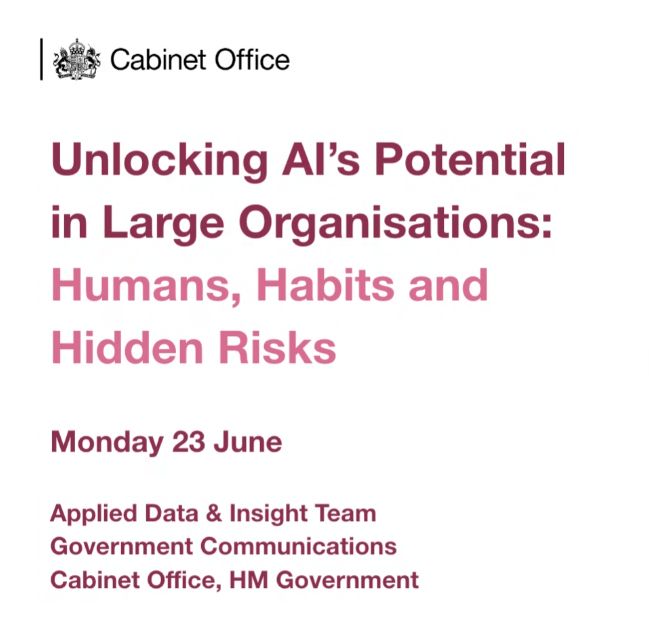 Unlocking AI's Potential in Large Organisations