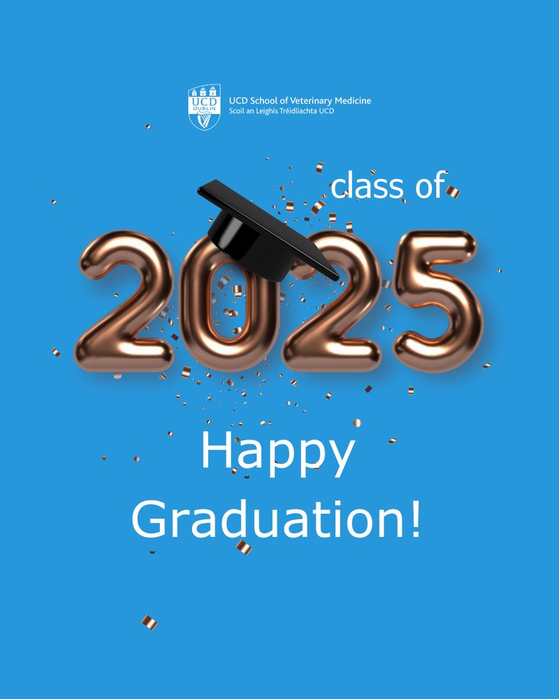 Blue background graphic with the UCD School of Veterinary Medicine logo at the top. Large bronze balloon numbers read "2025", with a graduation cap tilted on the "0" and confetti exploding from behind. Text reads: "Class of 2025 – Happy Graduation!"