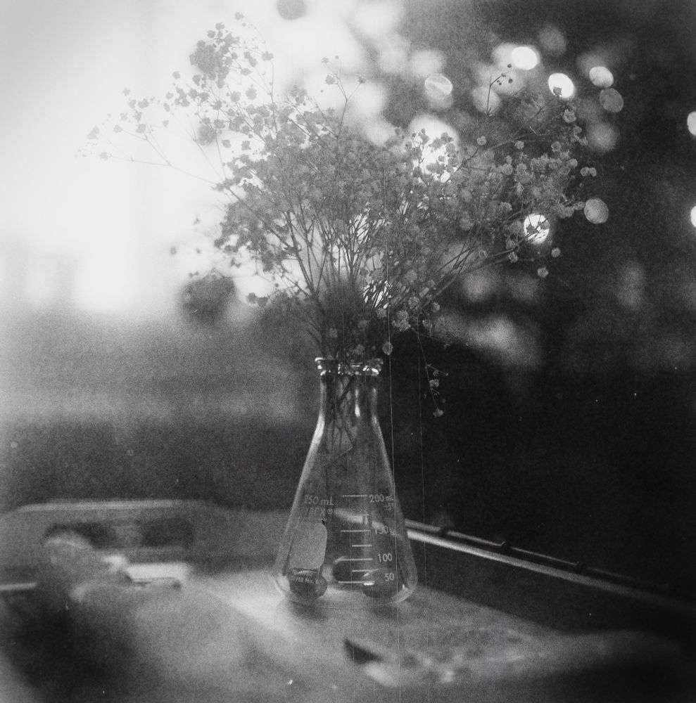 A black and white film photograph of a small bouquet of delicate dried flowers placed inside a 250-ml Erlenmeyer flask used as a vase. The flask stands on a table with soft, blurred objects around it, while the background glows with out-of-focus lights and gentle haze, giving the image a dreamy, atmospheric feel.