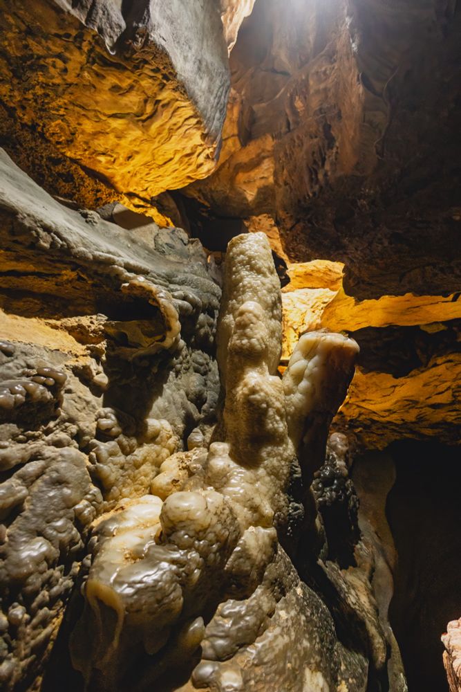 A close-up of textured stone formations at Ruby Falls glowing in warm amber light, highlighting their smooth, almost sculpted surface.