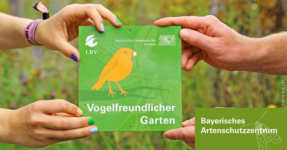 Vier Hände halten die quadratische Auszeichnungsplakette der Aktion Vogelfreundlicher Garten. Auf der Plakette ist ein stilisierter orangener Vogel mit einer weißen Beere im Schnabel auf grünem Hintergrund abgebildet. Oben links ist das Logo des LBV, oben rechts das Staatswappen des Bayerischen Landesamts für Umwelt zu sehen. In der rechten unteren Ecke des Bildes steht das Logo des Bayerischen Artenschutzzentrums.
