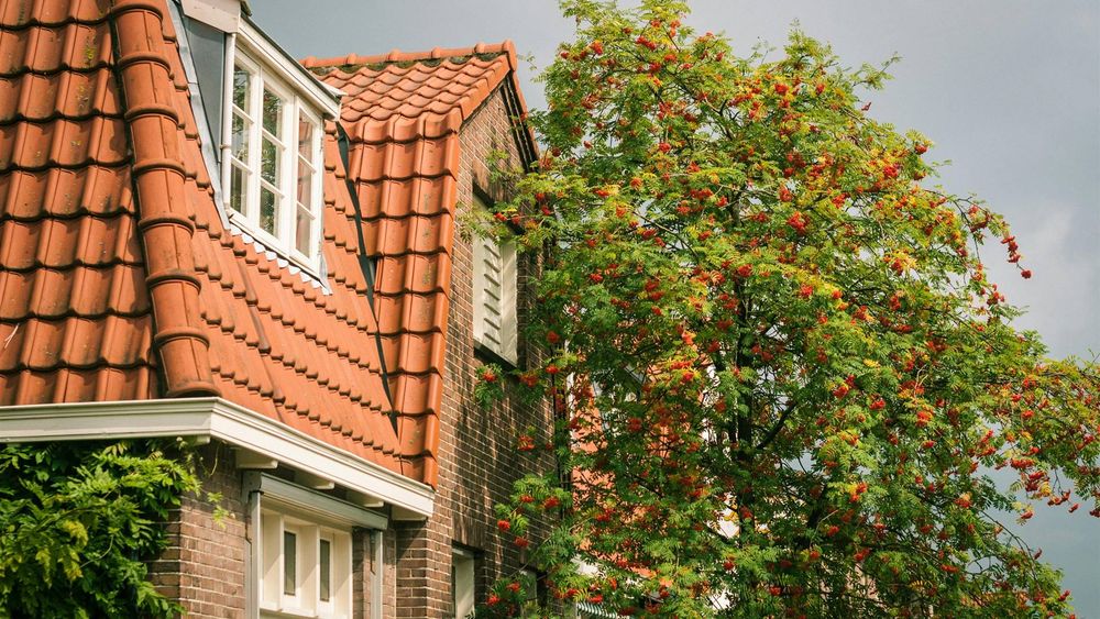 Zo verdien je geld met de verhuur van je huis of tuin