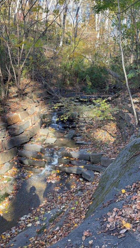 A fall scene with a water feature