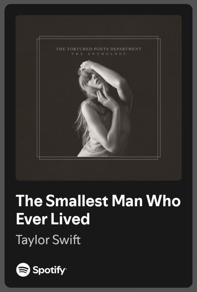 screenshot of taylor swift’s song the smallest man who ever lived