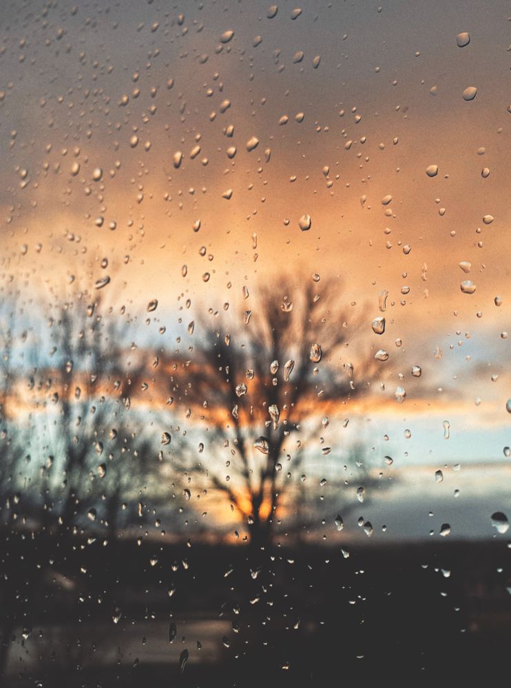 Raindrops on a window, in front of a blurry background of leafless trees and pastel orange and blue sunset.