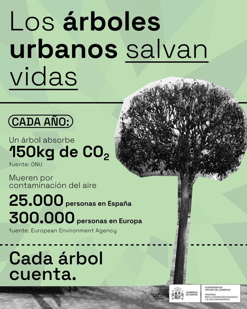 Los arboles urbanos salvan vidas: al año absorben 150kg de Co2, que tiene repercusiones graves sobre la salud