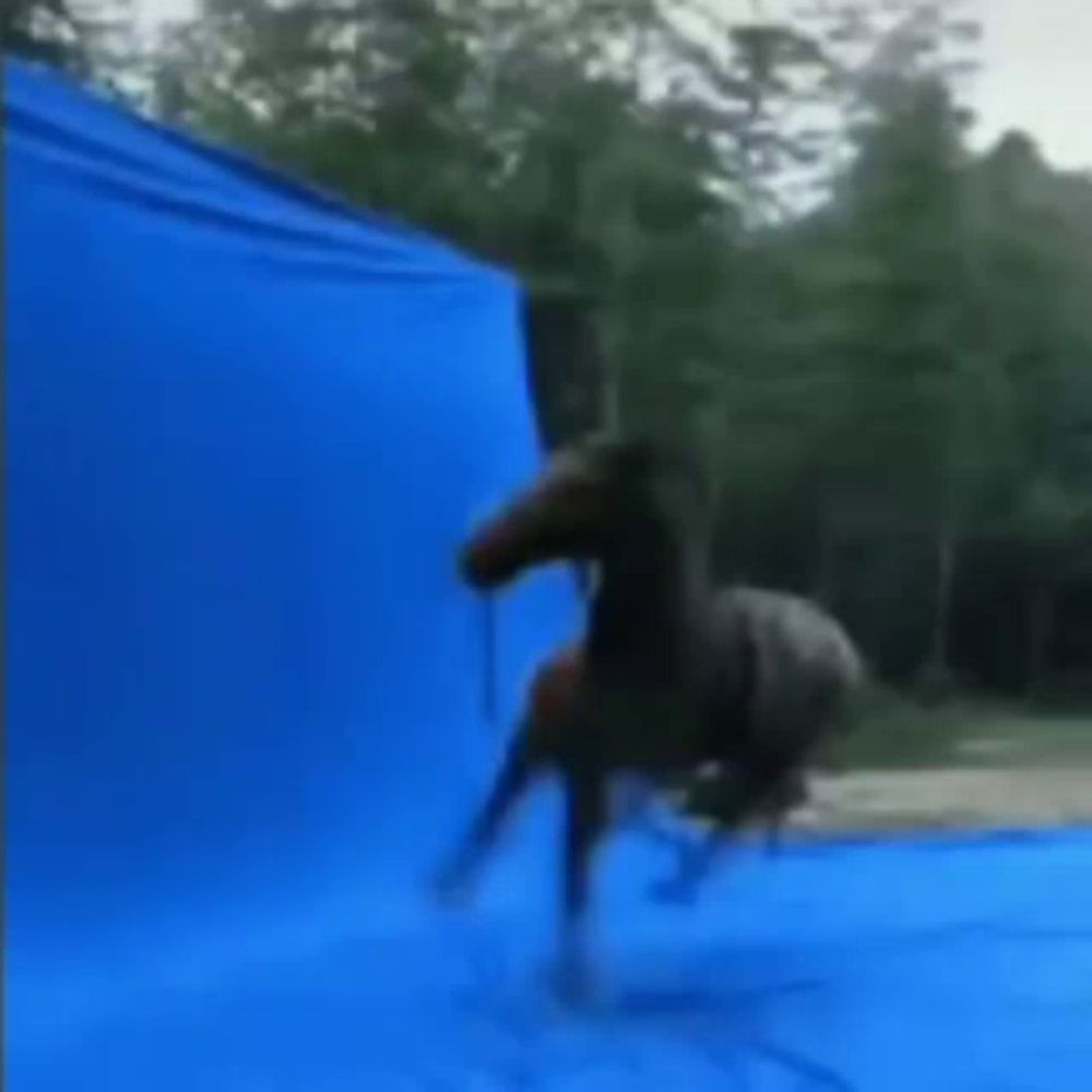 a blue tarp is being used as a backdrop in a park