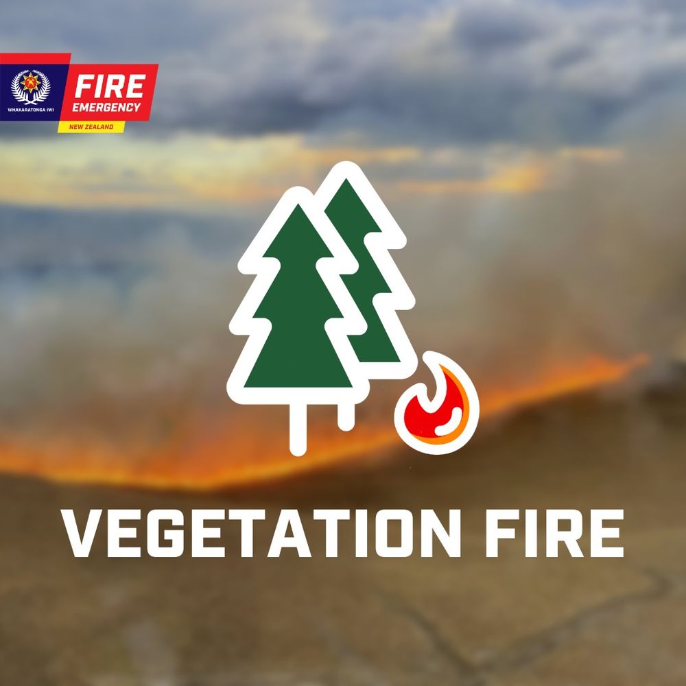 FENZ Graphic - Vegetation Fire