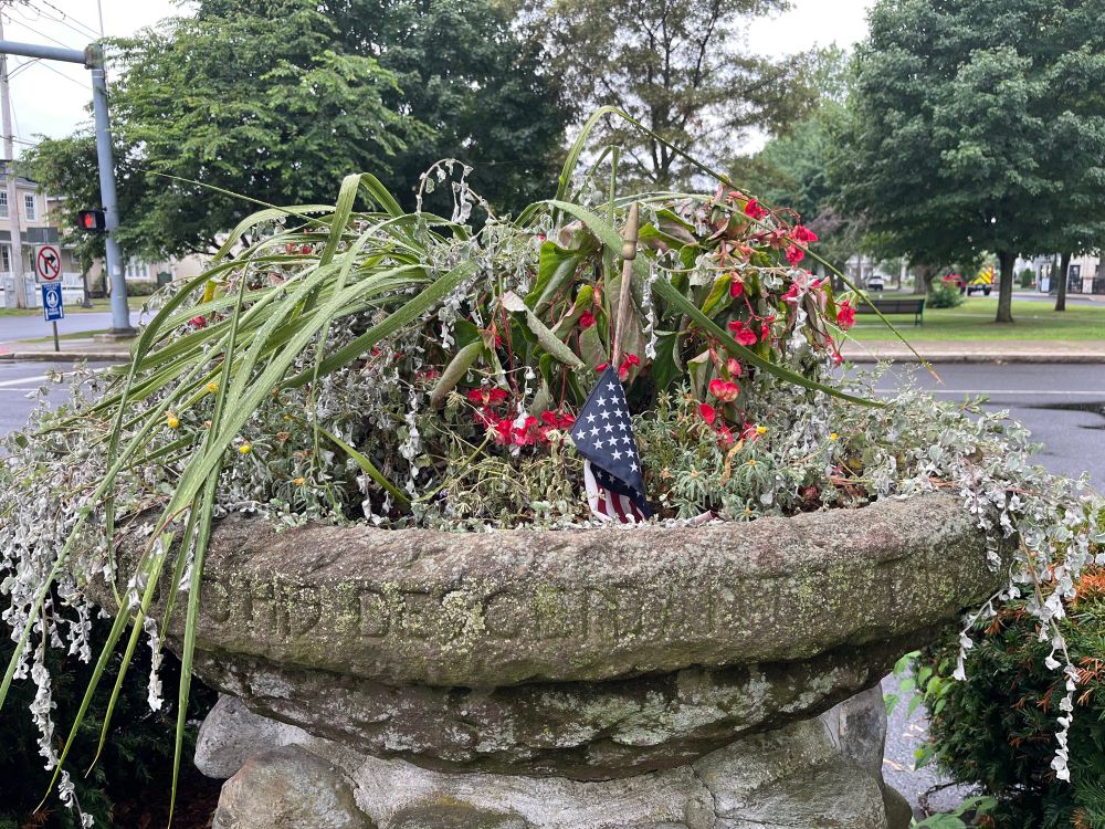 Drooping, unwatered plants with a ripped and dirty flag in a historic planter on our city’s green. 