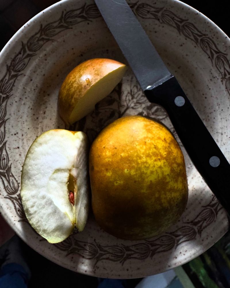 A partly-quartered apple with white flesh and a blotchy gold-green skin on a plate with a knife.