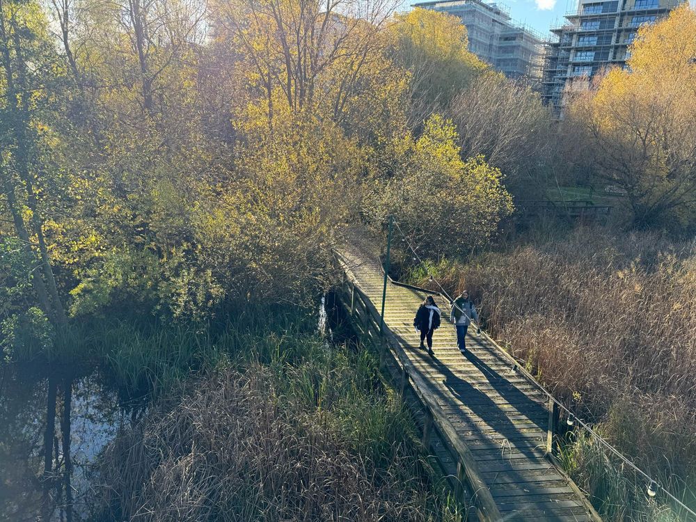 Two people on a boardwalk with trees and water on either side of side, casting long shadows in winter afternoon sunlight. 