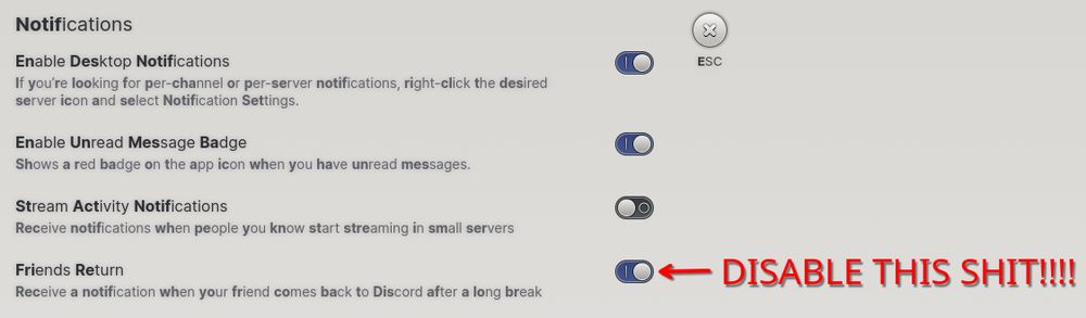 a screenshot of the discord notifications settings tab, one of them is called "friends return" a setting that notifies people if u go back online after being offline for a while, theres an arrow pointing towards it with text saying "DISABLE THIS SHIT!!!!"