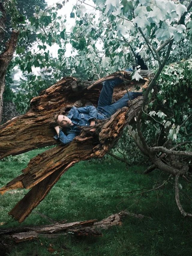 Robert Pattinson just hanging out in a tree