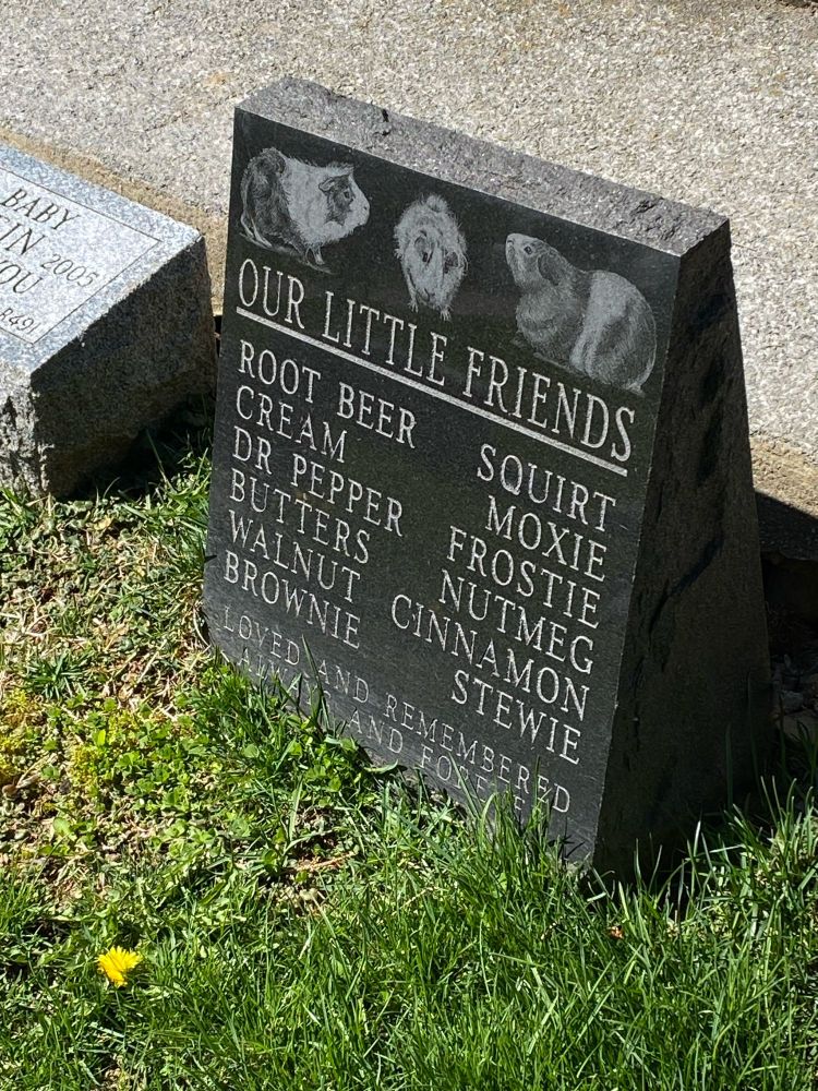 a grave that reads, “Our little friends” with three guinea pigs and the names of 12 guinea pigs below