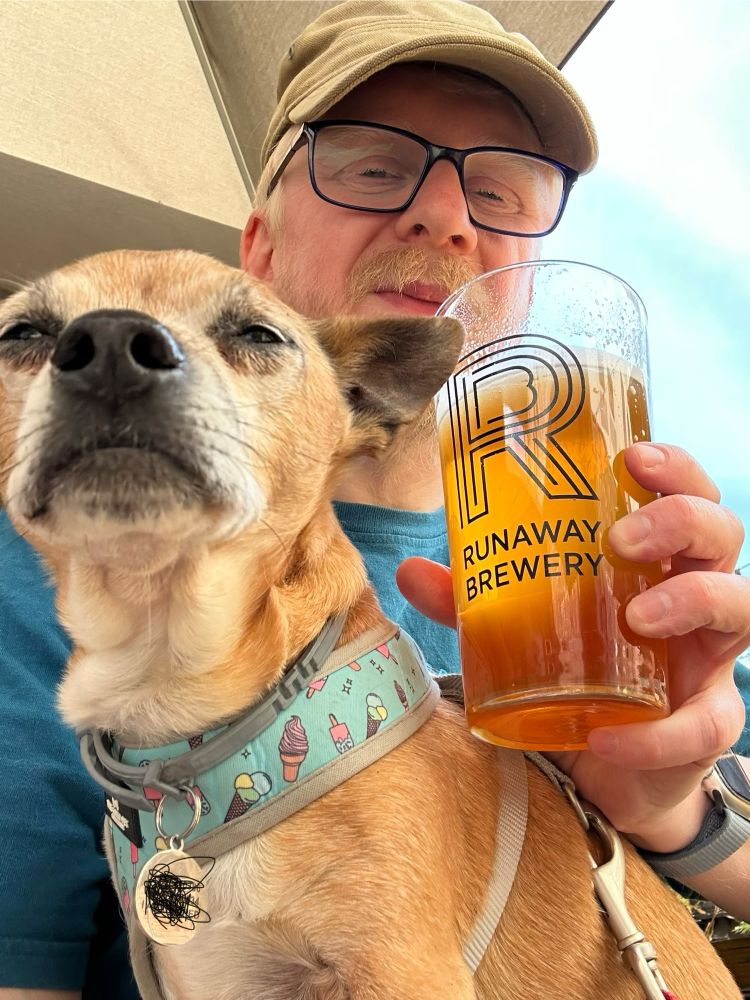 Picture of me with a pint & Larry the chihuahuas on my knee. Sat in the Runaway brewery beer garden.