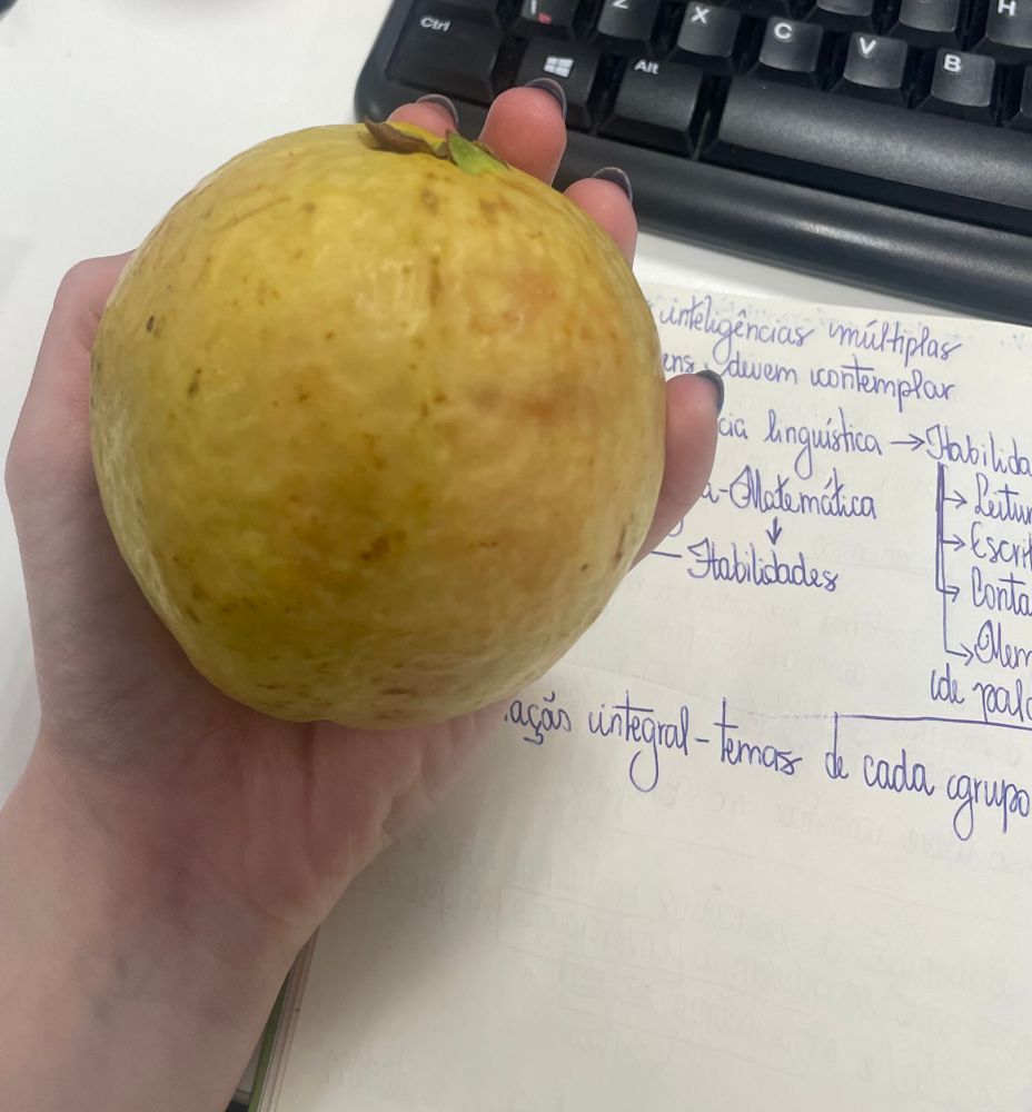 Goiabona… do tamanho da minha mao