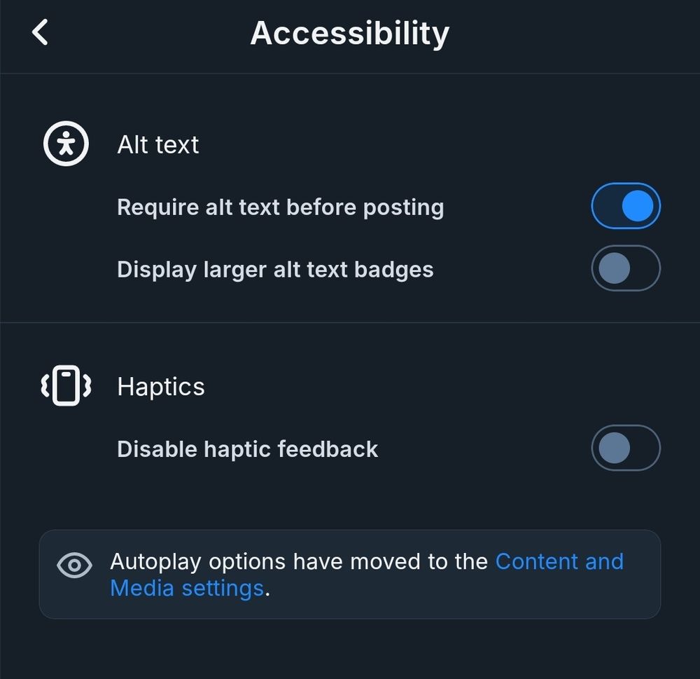 Setting to require alt text on images in Bluesky application 