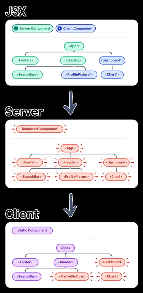 The developer authors JSX with distinct client and server components. These components are ALL rendered on the server, but only the client components are re-rendered on the client