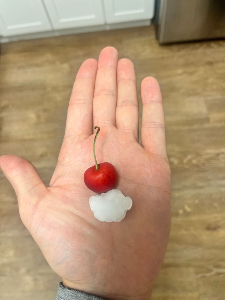A single red cherry and a piece of hail in my hand to show roughly how big the piece of hail was