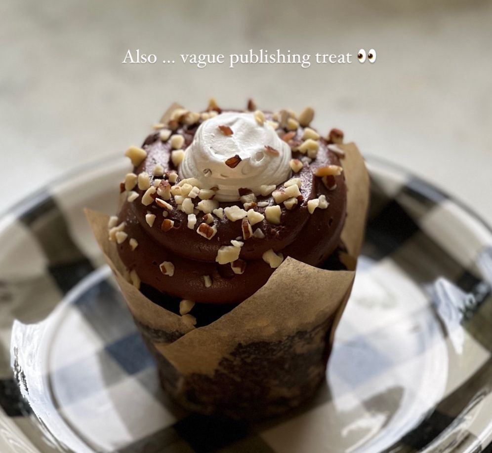 chocolate cupcake with caption "vague publishing treat"