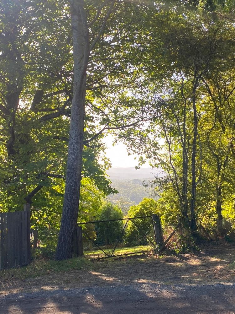 Forested hills in the background lit up brilliantly in the afternoon light, framed in the by an old gate and some leafy trees.