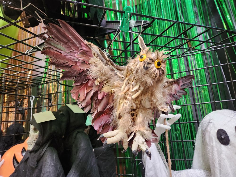 A photo of a tan owl decoration with wall-eyed yellow fake eyes. It looks so, so dumb