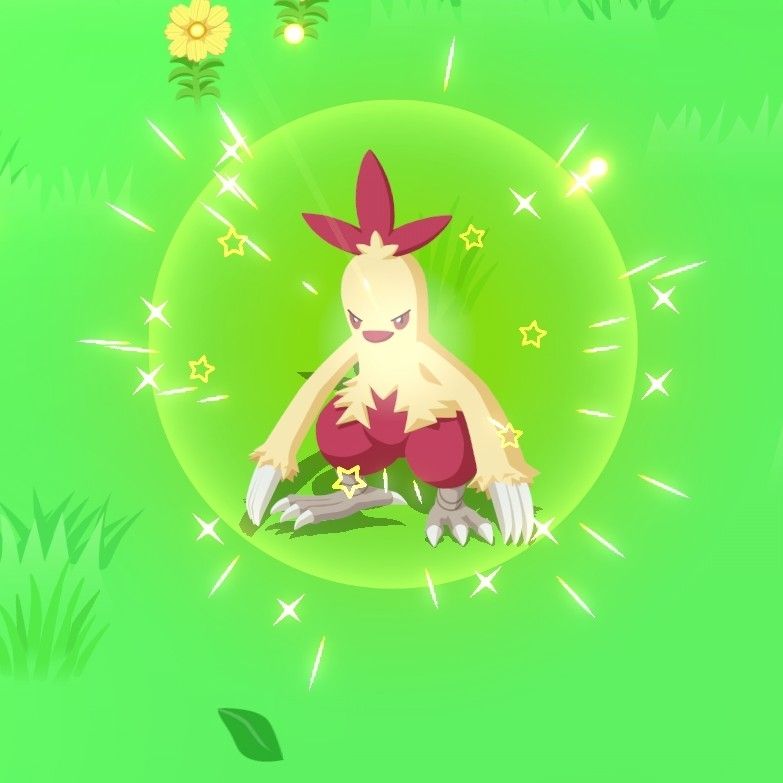 shiny combusken 