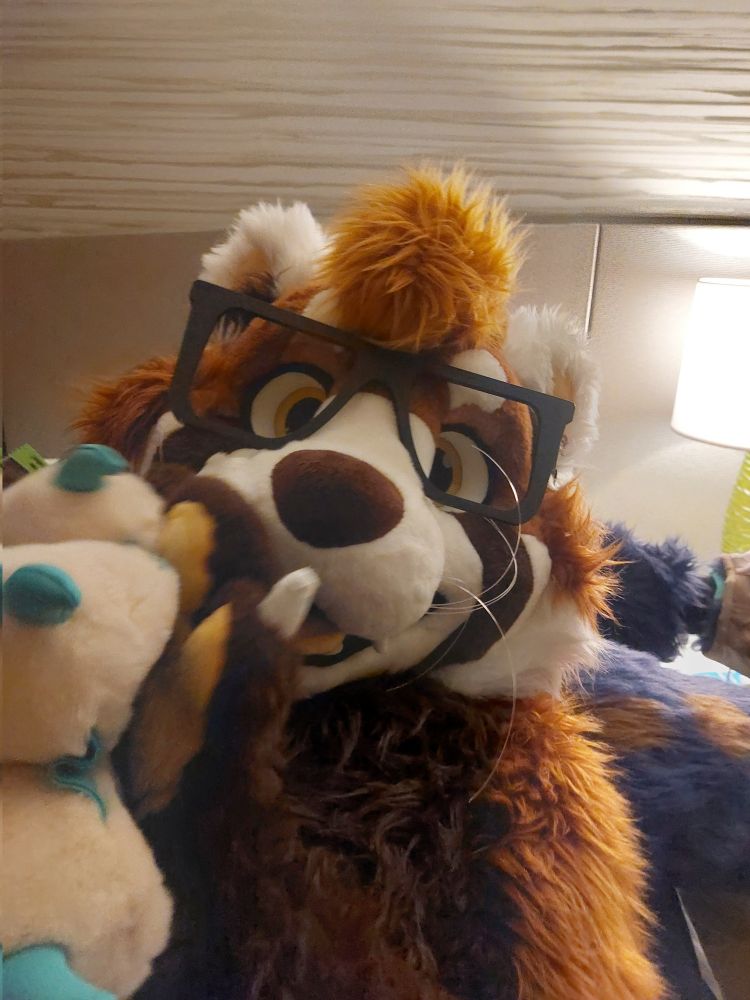 A wah with a cat's glasses!