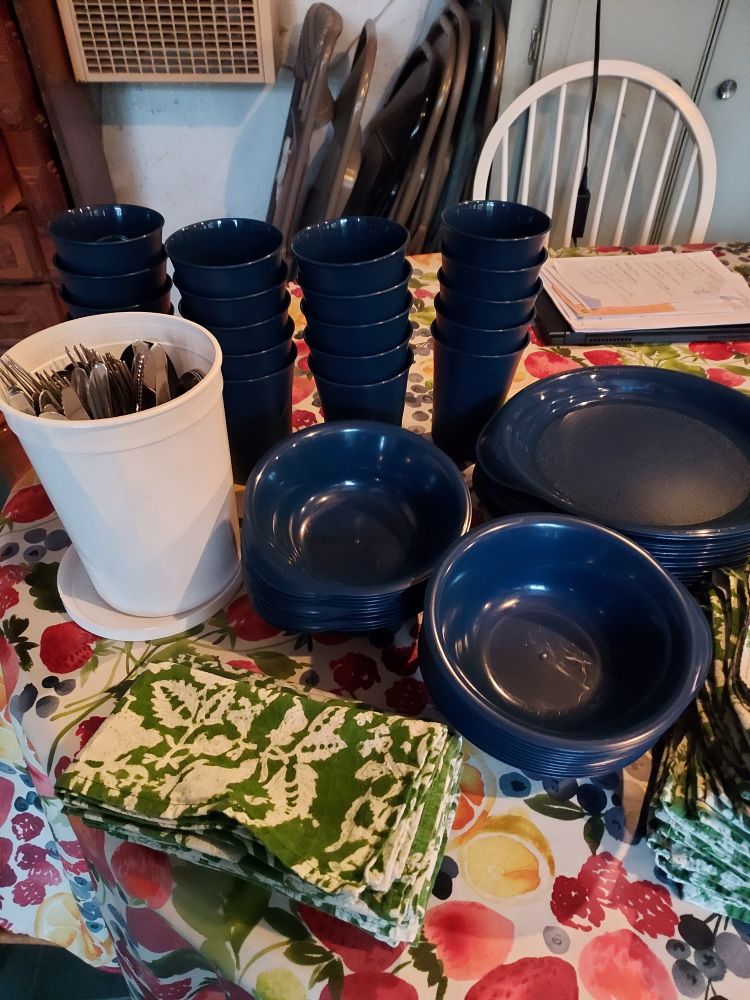 A set of 20 cloth napkins,  silverware, and dishes made from recycled plastic. All available at no charge!
.
