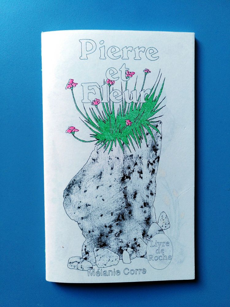 Couverture de la micro-édition PIERRE ET FLEUR de Mélanie Corre. Sur fond blanc on y voir le titre et le dessin d'une plante en couleur, une armène, poussant sur une pierre noire et blanche aux allures de granit.