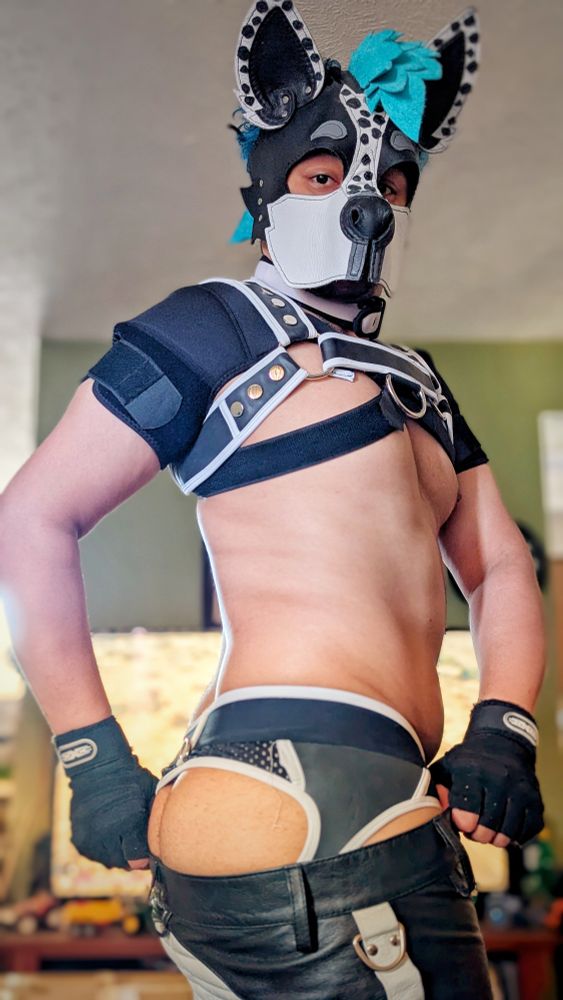 zeon in sport leather bondage shorts and scrapyardleather hood with chest harness and shoulder pads. presenting side of rear 