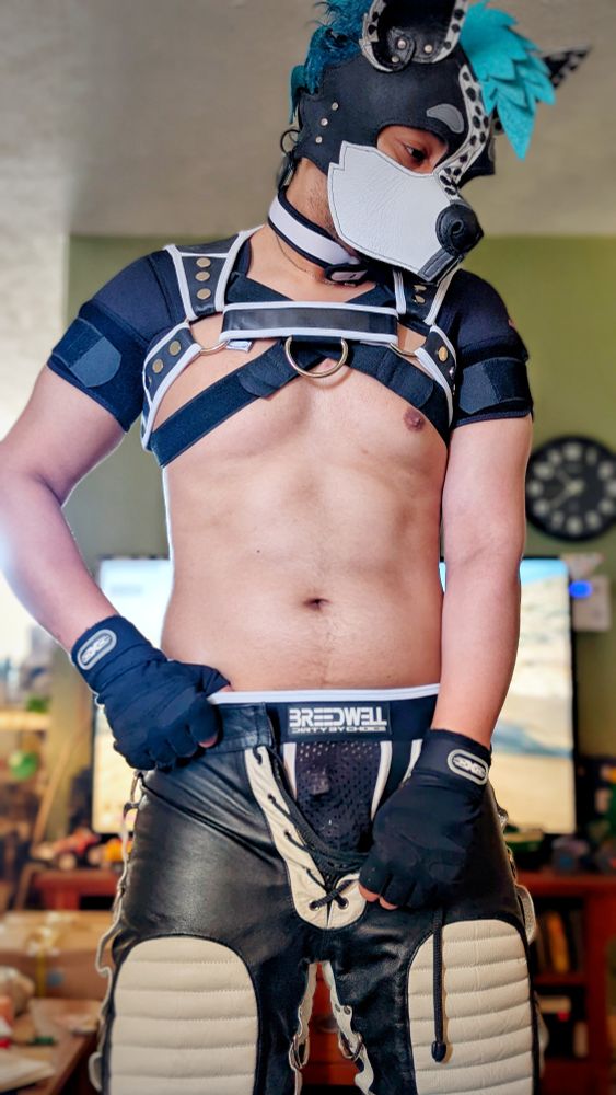 zeon in sport leather bondage shorts and scrapyardleather hood with chest harness and shoulder pads.