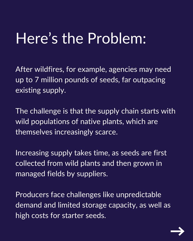 Here’s the Problem:
After wildfires, for example, agencies may need up to 7 million pounds of seeds, far outpacing existing supply.  

The challenge is that the supply chain starts with wild populations of native plants, which are themselves increasingly scarce. 

Increasing supply takes time, as seeds are first collected from wild plants and then grown in managed fields by suppliers. 

Producers face challenges like unpredictable demand and limited storage capacity, as well as high costs for starter seeds.

