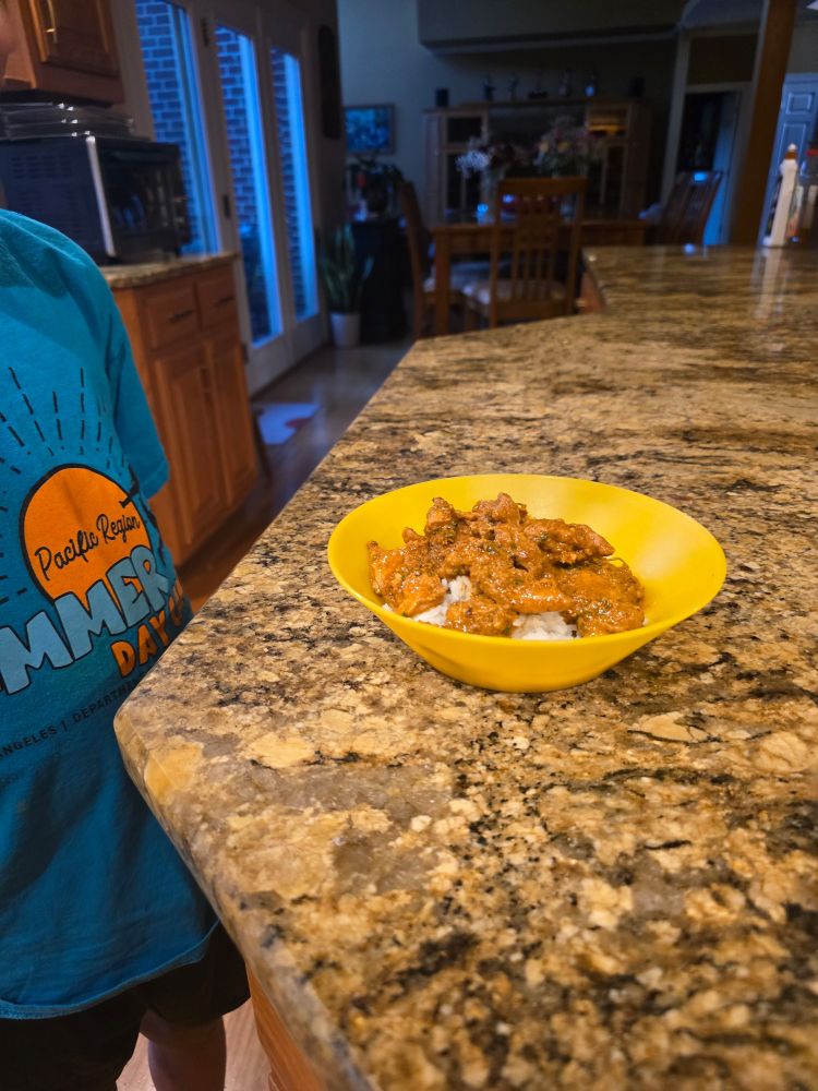 picture of chicken Tikka masala over a bed of fluffy ass jasmine rice that I made for my nephew 
