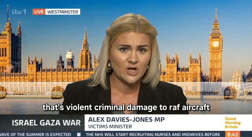 Screenshot of Alex Davies-Jones MP looking angry and saying "that's violent criminal damage to RAF aircraft".