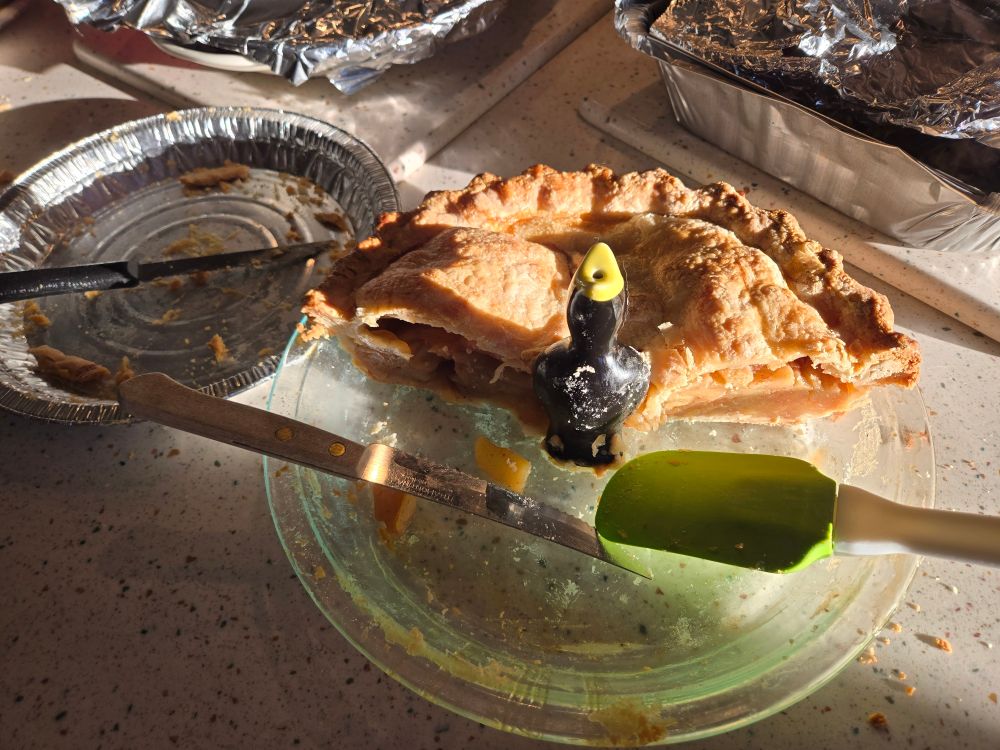 Apple pie's about half gone, with more due to leave as part of take-away plates. It sits next to an empty tin that used to contain one of Mom's pecan pies, which are always a favorite.