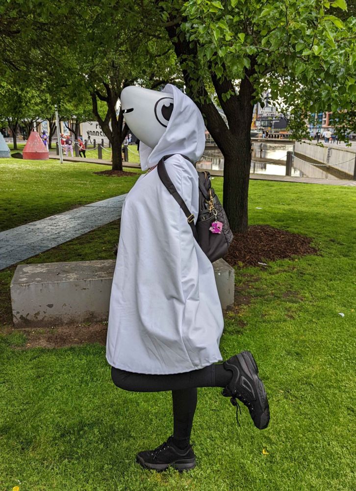 Person cosplaying TOEM's protagonist