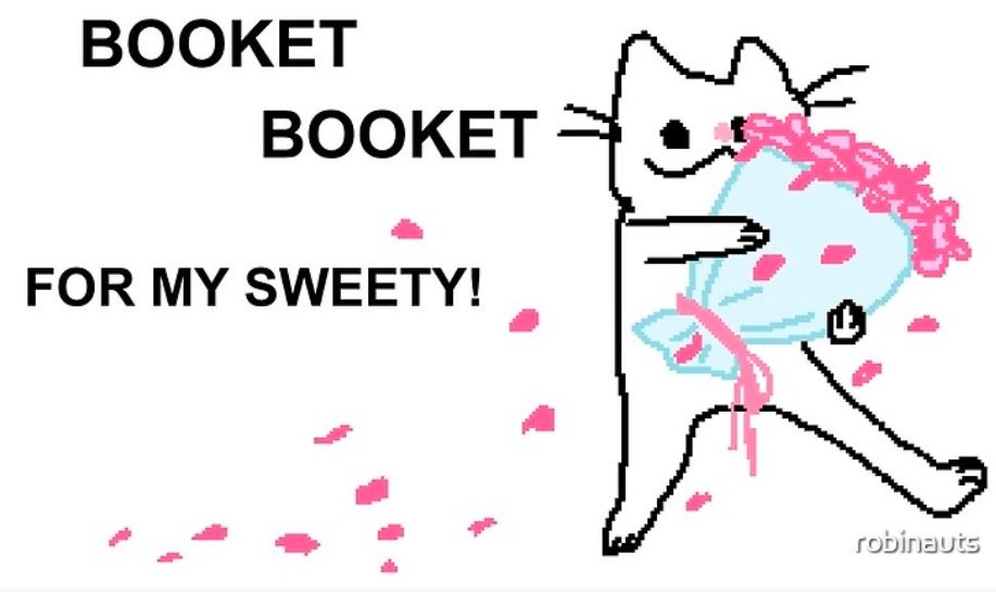 funny cat drawing holding a bouquet and saying "booket[sic] booket[sic] for my sweety!"