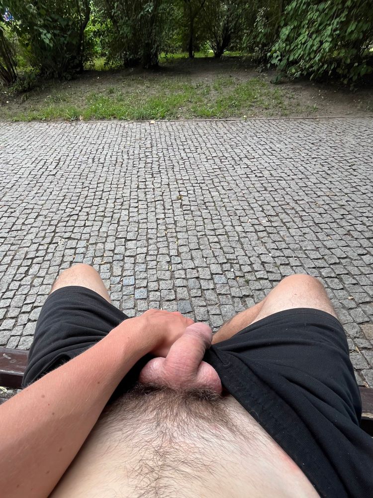 Me on the park bench exposing my penis