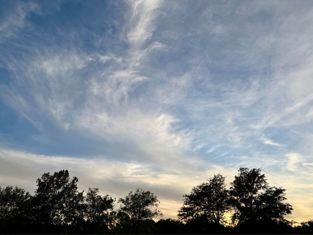 Silhouetted trees under a blue sky with wispy clouds.