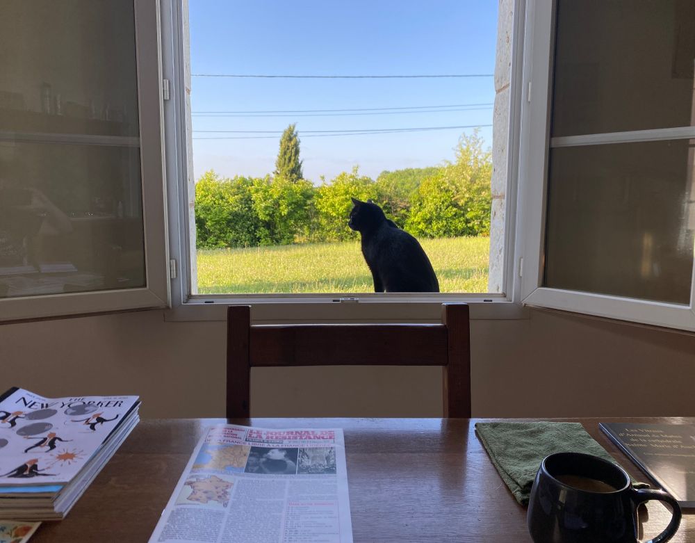 A small black cat named Bébé sits on a kitchen windowsill in rural France. 
