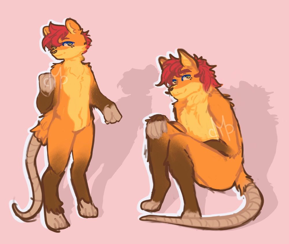 An illustrated image of Kimmyboii's sona. An anthropomorphic, orange furred possum. Drawn by "muddythefrog" on Discord