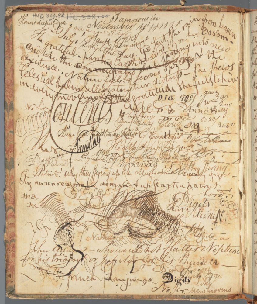 An elaborately doodled-upon pastedown from an early nineteenth-century diary belonging to Harvard student John Henry Tudor.