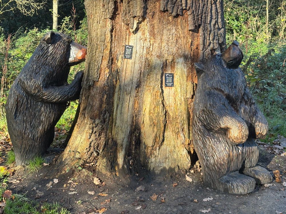 Two carved wooded brown bears next to a tree 