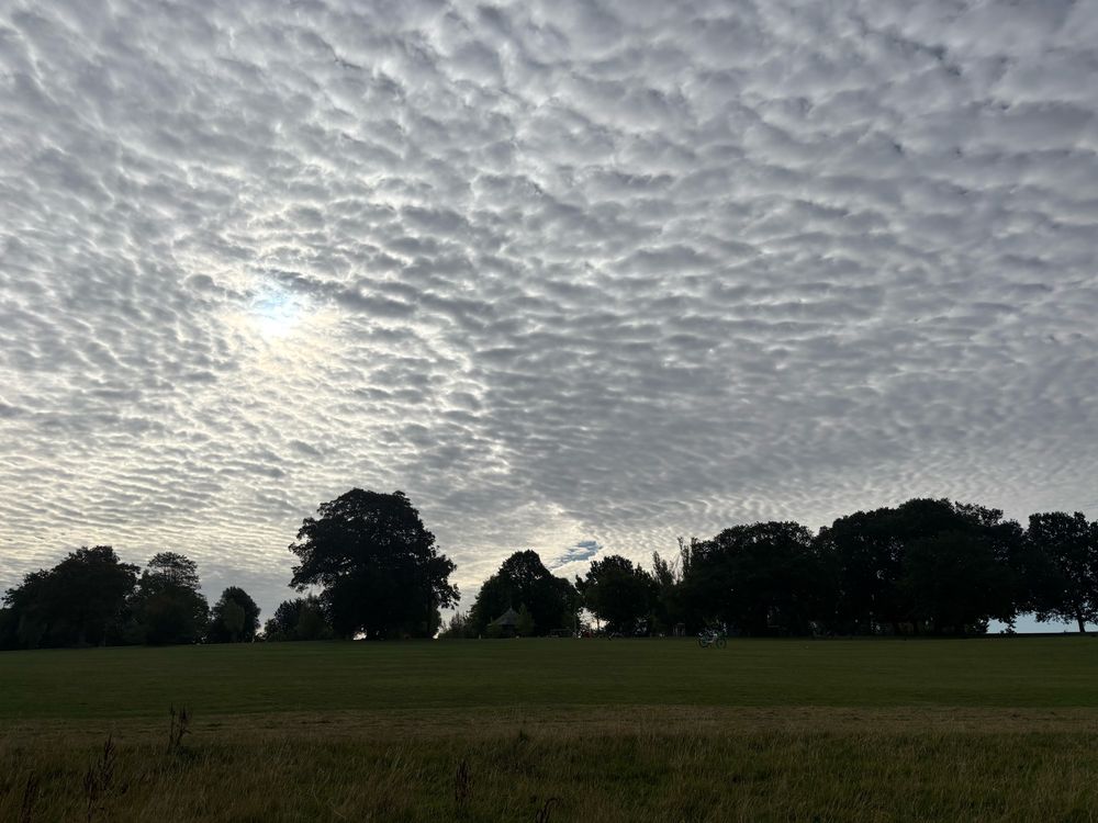 Altocumulus (I think) clouds - a shot taken into the sun so the trees appear in silhouette.